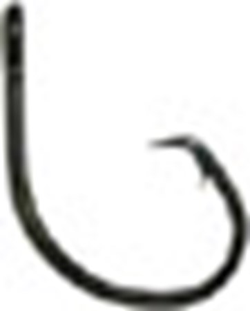 EL2004
